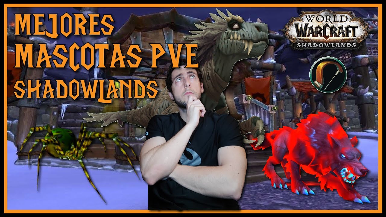 🐾 MEJORES MASCOTAS PvE para CAZADOR 🏹 | World of Warcraft SHADOWLANDS