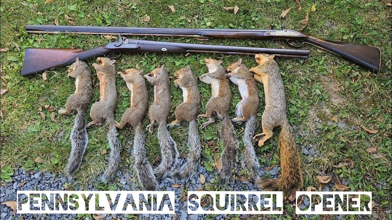 💥BLASTIN' squirrels with black powder!