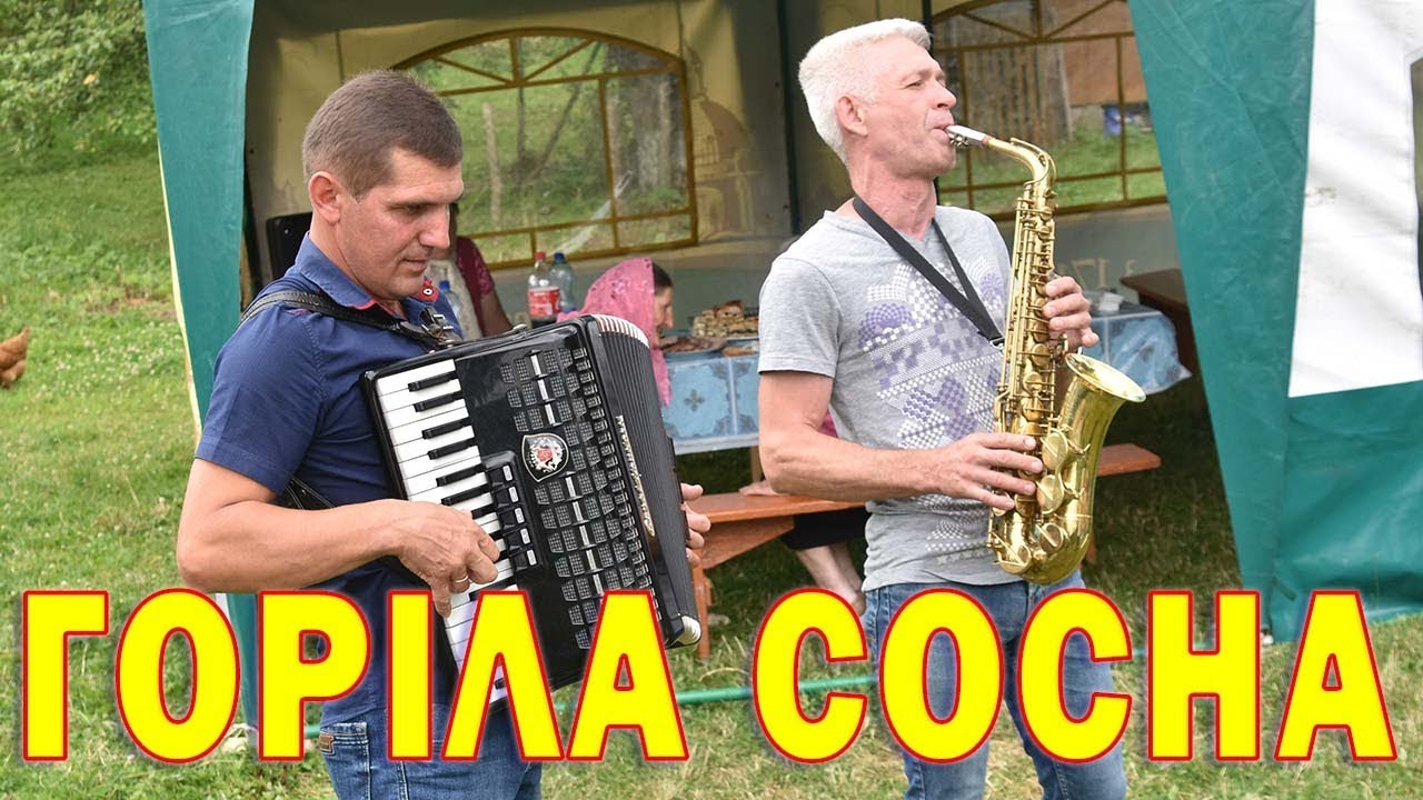 Горіла сосна. Троїста музика з карпатського краю