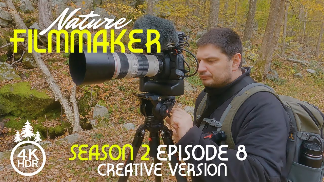 A Day in the Life of Nature Filmmaker | 4K HDR Fall Shoot in New England - S2; Ep 8 /Creative Video