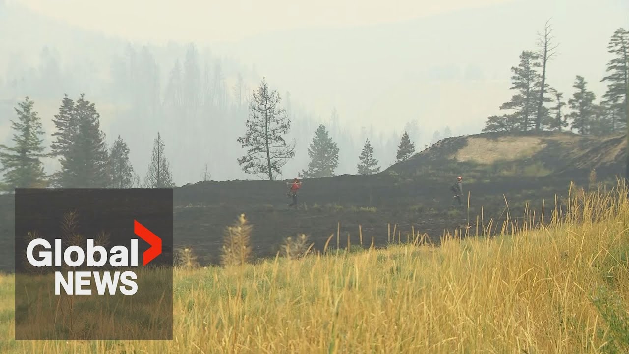 BC wildfires: Close call as community of Williams Lake narrowly avoids 