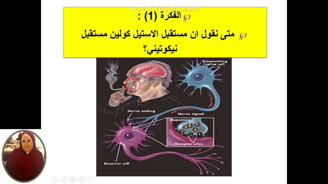 العرض  8في النقل المشبكي افكار تبنى عليها التمارين