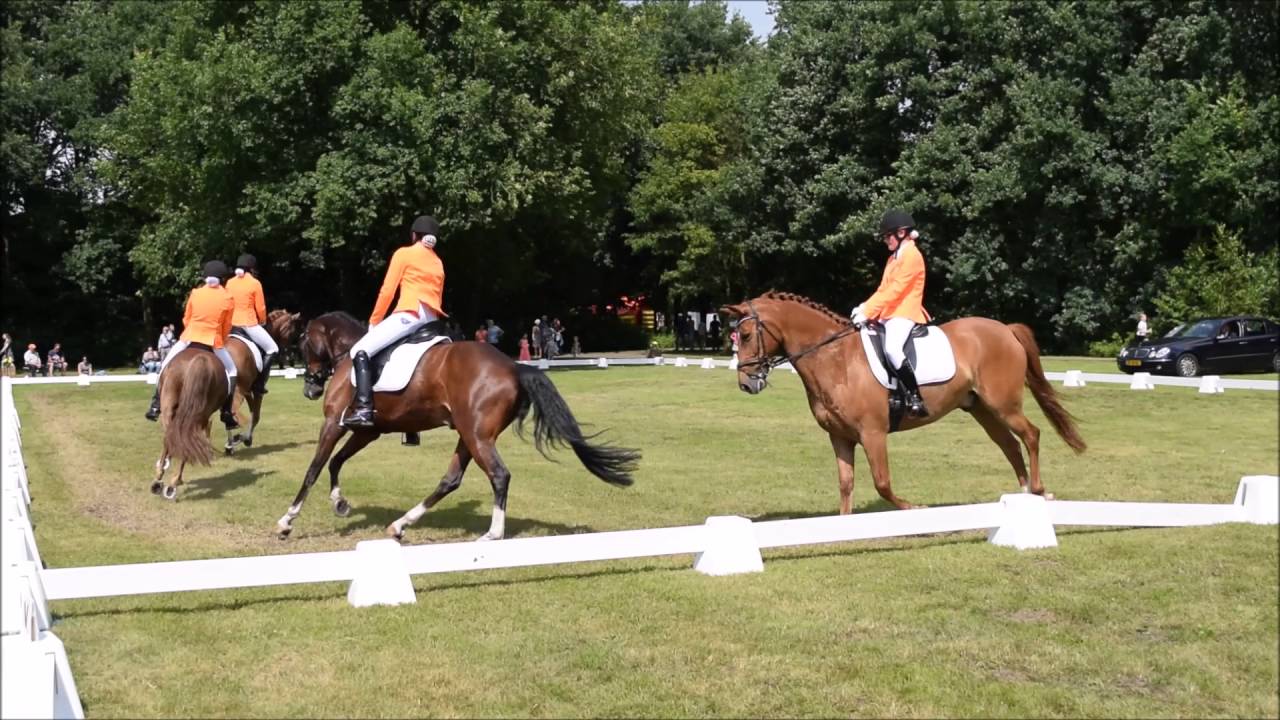 M Viertal D/E-pony's Kasteelruiters - Veendam 10-7-2016