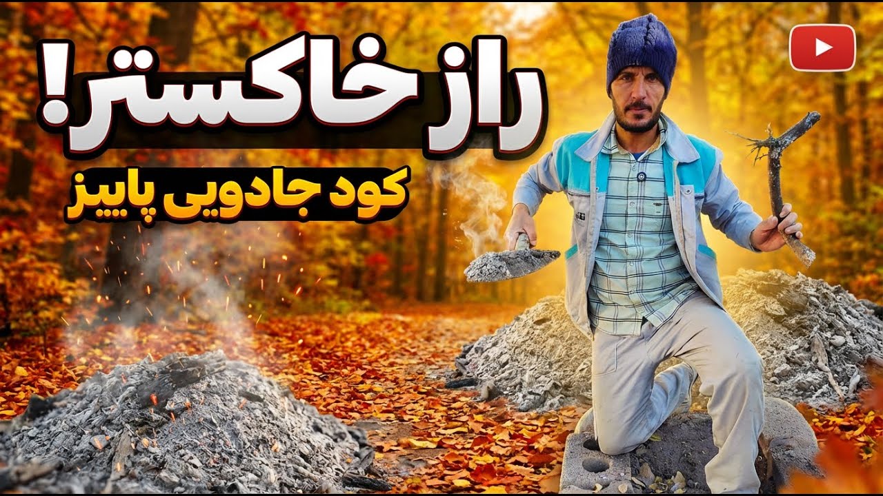 «راز طلایی خاکستر: تقویت شگفت‌انگیز درختان در فصل خزان!»