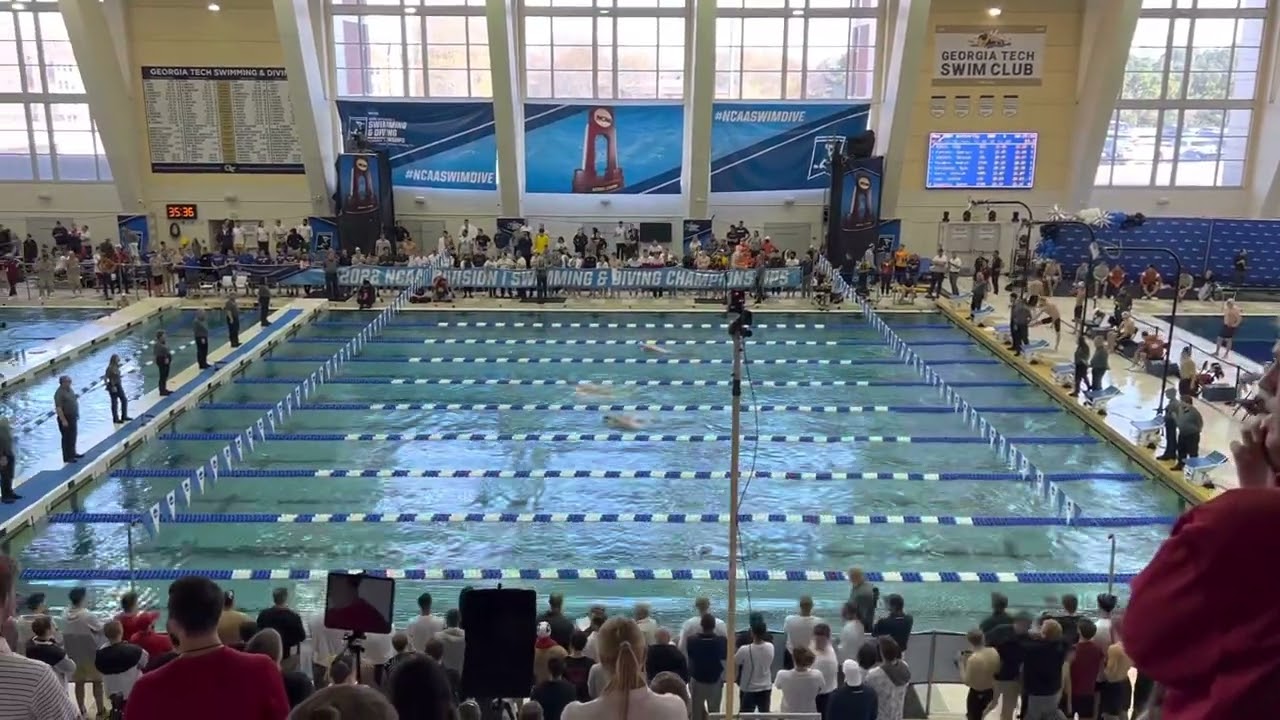 ANDREI MINAKOV (STAN) 43.77 100 FLY EASY IN PRELIMS 2022 NCAA SWIMMING CHAMPS