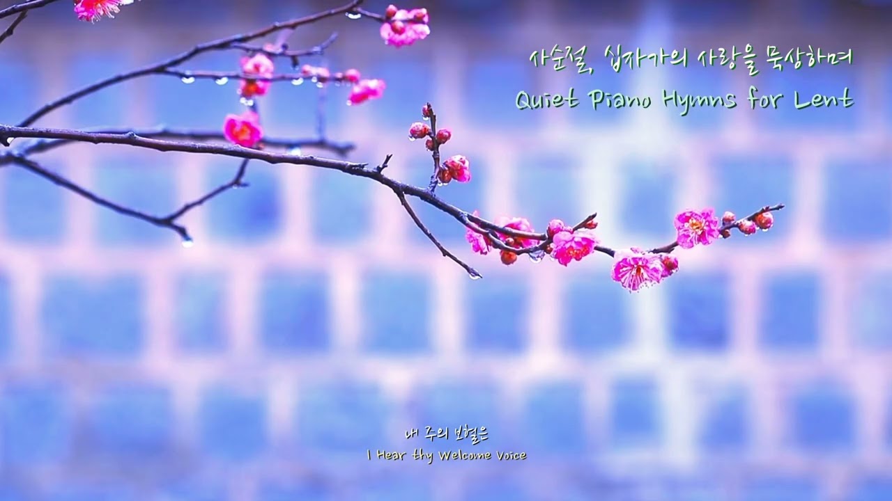 사순절ㅣ 십자가의 사랑을 묵상하며ㅣ Quiet Piano Hymns for Lentㅣ Beneath the Cross, in His Love