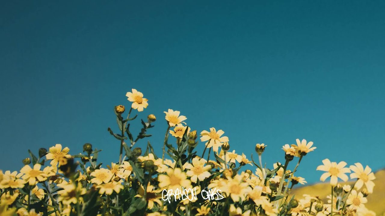 Free Sad Acoustic Guitar Type Beat 