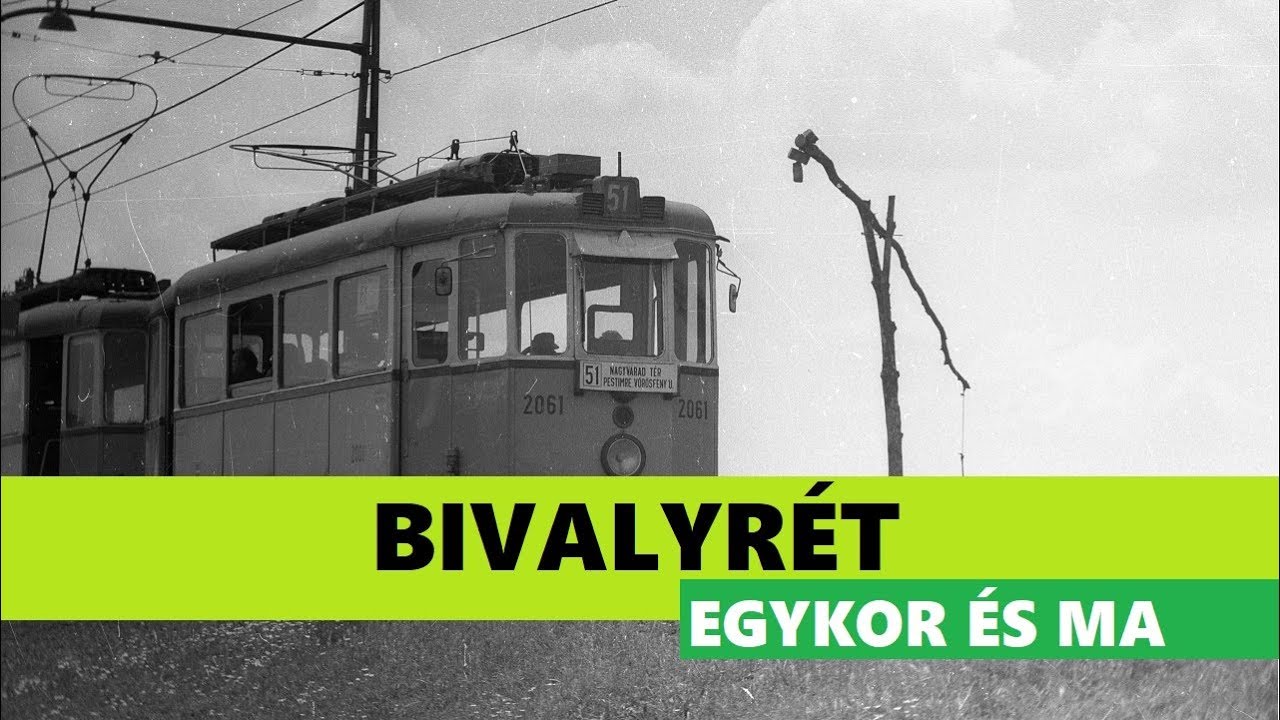 A legendás Bivalyrét egykor és most - Kalandkeresők