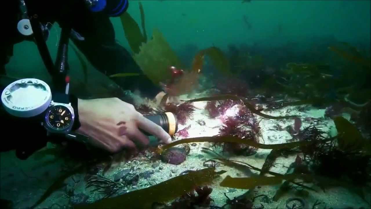Mary-Ann Ochota dives HMS Colossus - Britain's Secret Treasures Series II