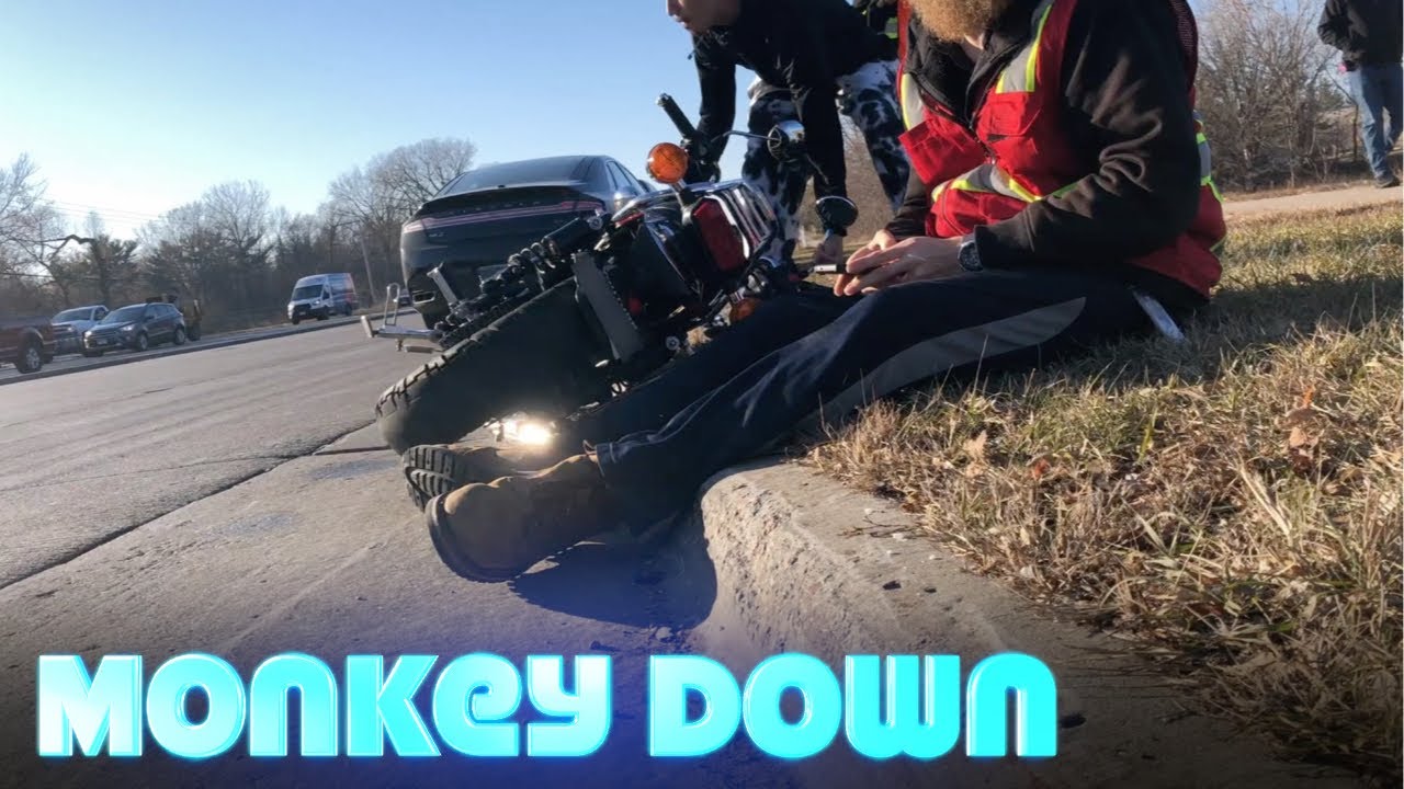 Monkey Down | Honda Monkey