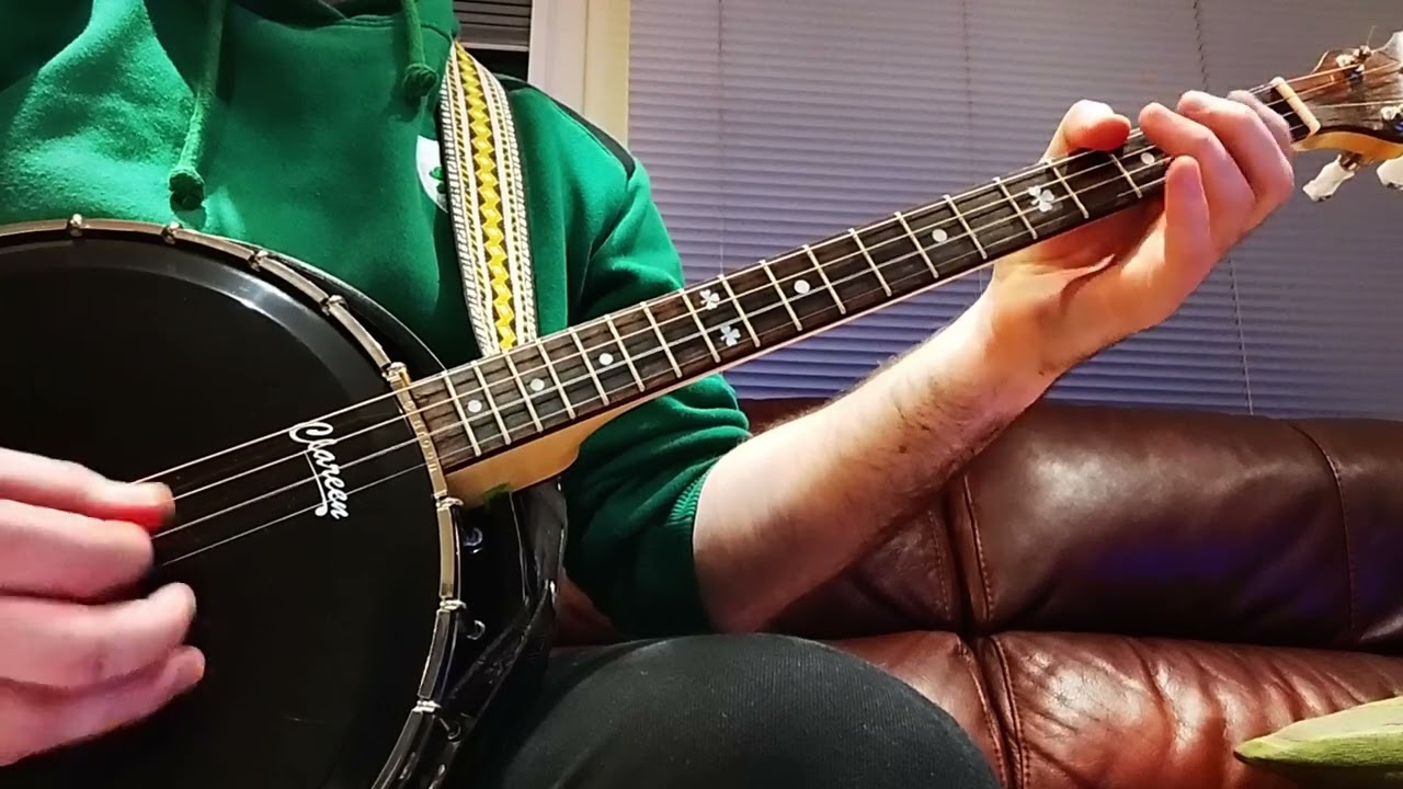 Geese in the Bog | Irish Tenor Banjo