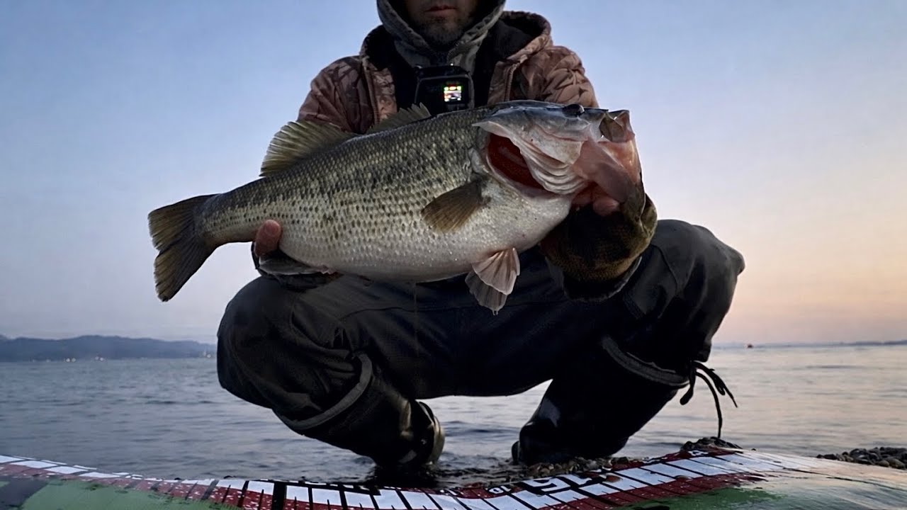 【琵琶湖おかっぱり】3月のプリスポーン BIG Prespawn Bass from Lake Biwa Bank Fishing 