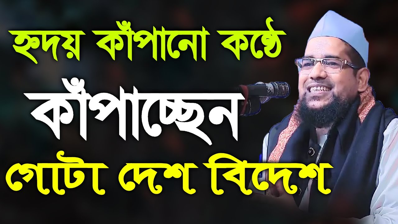 হৃদয় কাঁপানো কন্ঠে দেশ বিদেশে ওয়াজ করছেন | মুফতী মোবারক উল্লাহ সাঈদী