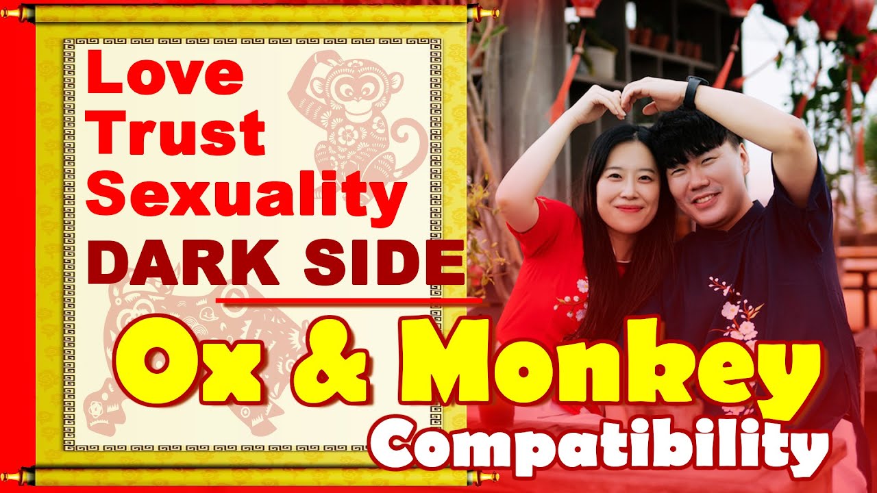 Ox and Monkey Compatibility in Love Life, Trust, Intimacy | Ox & Monkey Chinese Zodiac Compatibility
