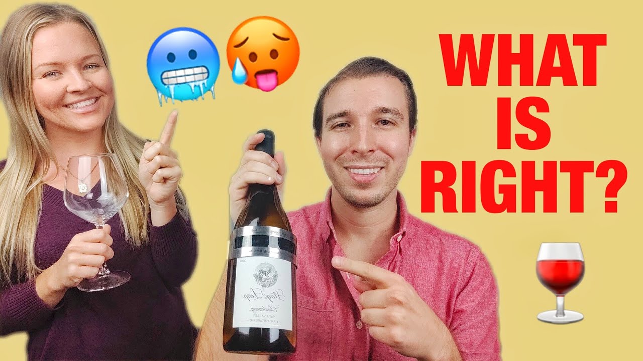 HOW TO CHILL WHITE WINE AND RED WINE to the Proper Temperature | Wine Refrigerator vs 30 Minute Rule