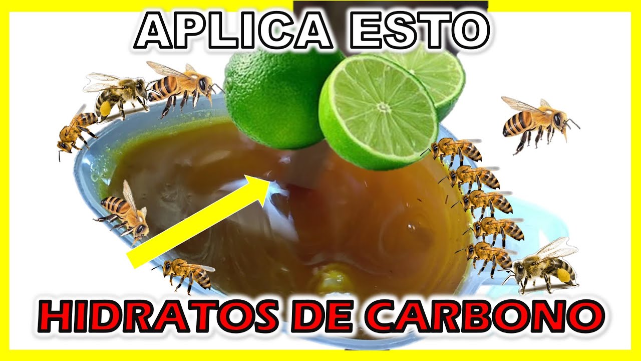 COMO ALIMENTAR TUS ABEJAS | Alimentaci&oacute;n artificial para las abejas