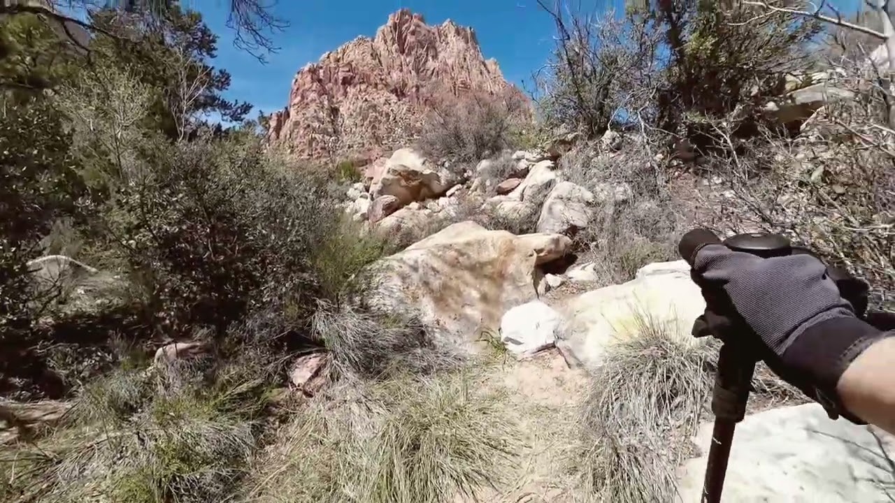April 4, 2024 Carl hikes for his birthday