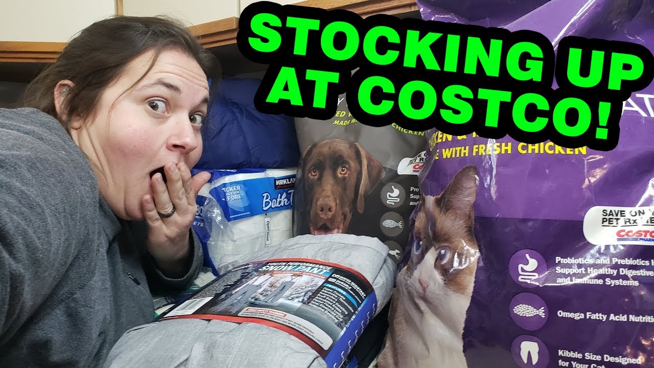 Costco Haul 11-23-22 | Home Schooling Curriculum...From Costco?