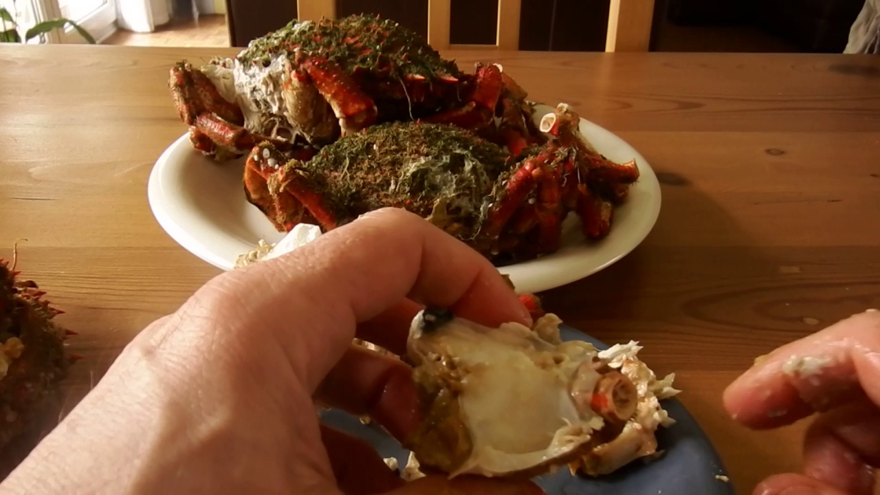 Comment décortiquer une araignée de mer