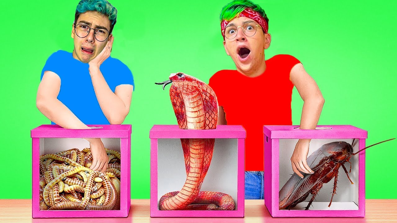 NON SCEGLIERE la SCATOLA SBAGLIATA📦❌(Crazie e Foxy)