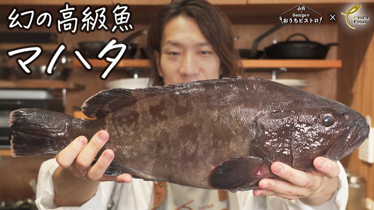 &ldquo;幻の魚・マハタ&rdquo;でフレンチシェフが作る『すき焼き風』極上鍋！