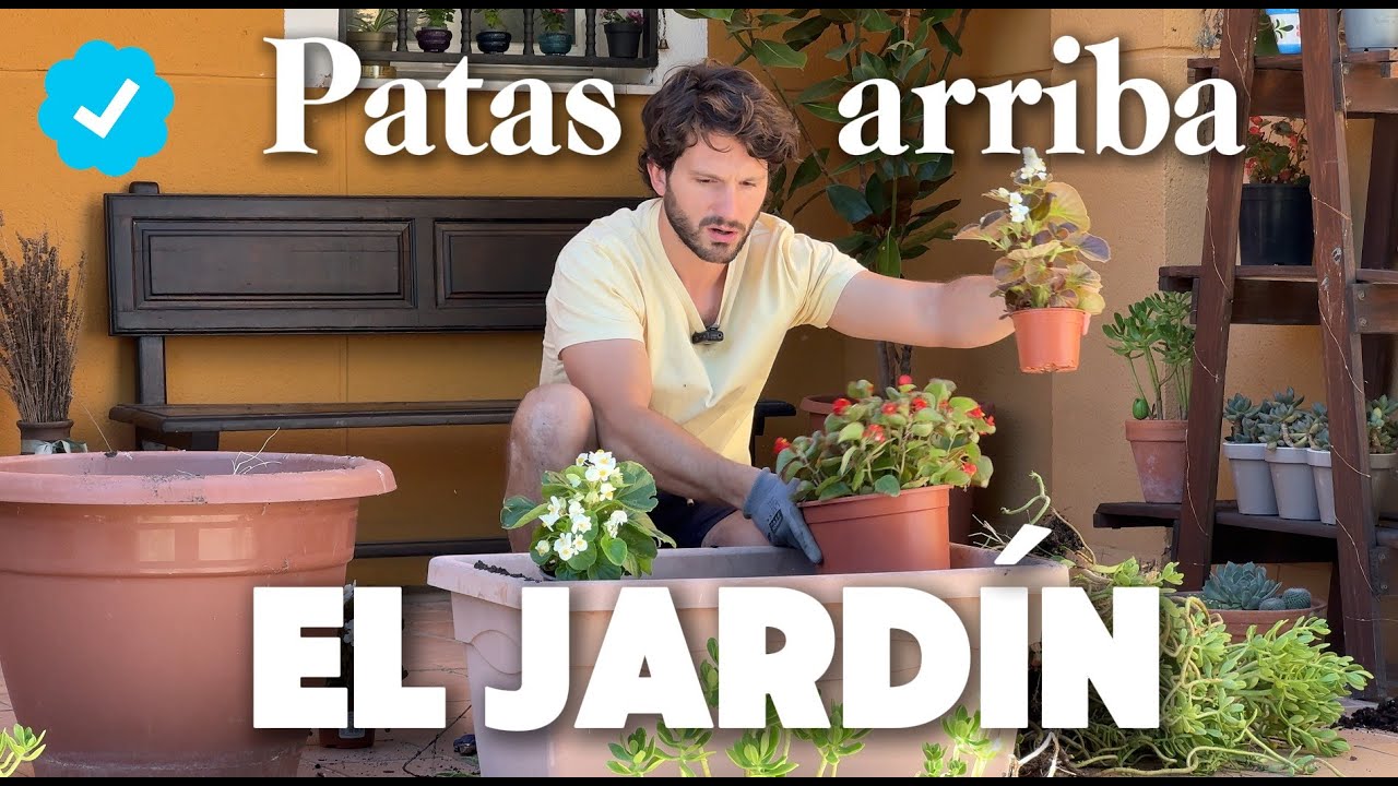 No podían esperar más