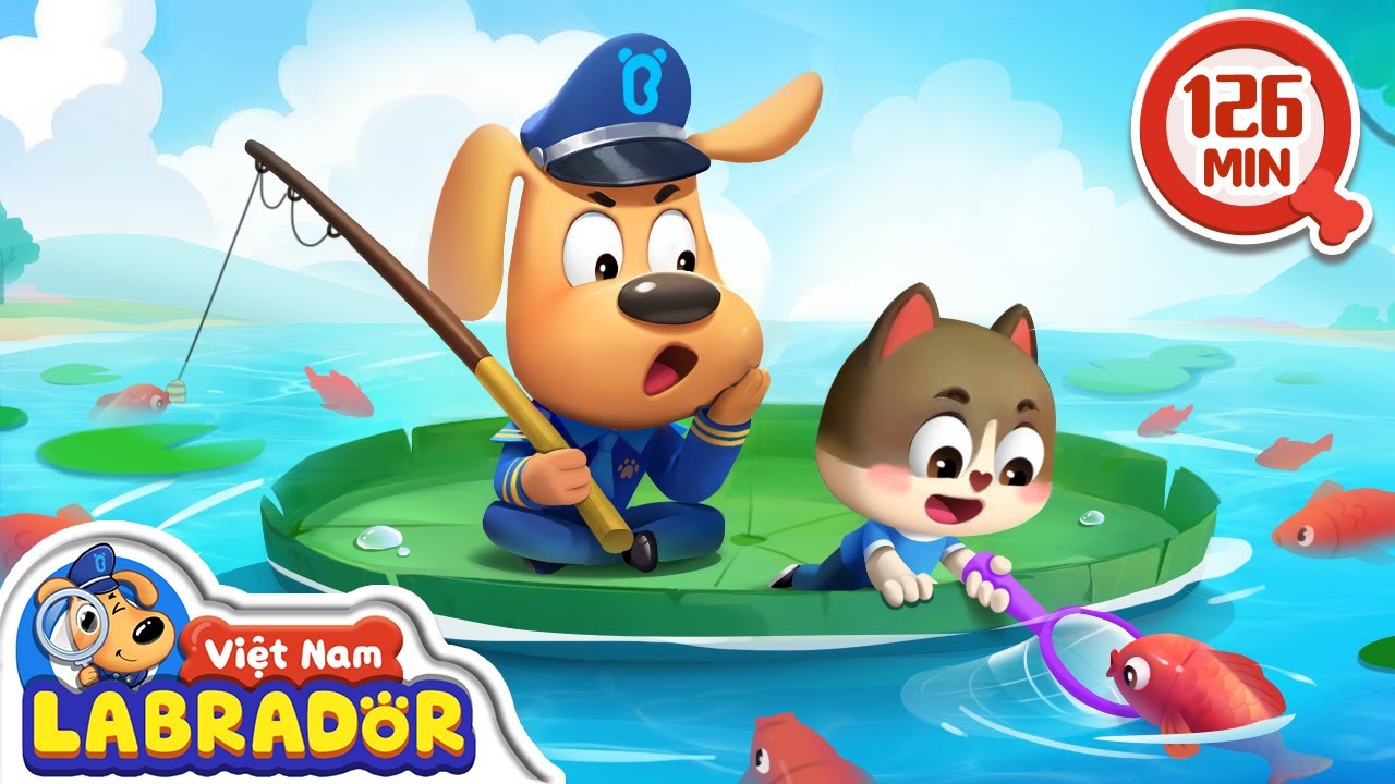 🏊‍♂️ Chuyến câu cá phiêu lưu của Mèo con 🤿 An toàn khi bơi lội 👮 Cảnh sát trưởng Labrador Vietnam 🚔