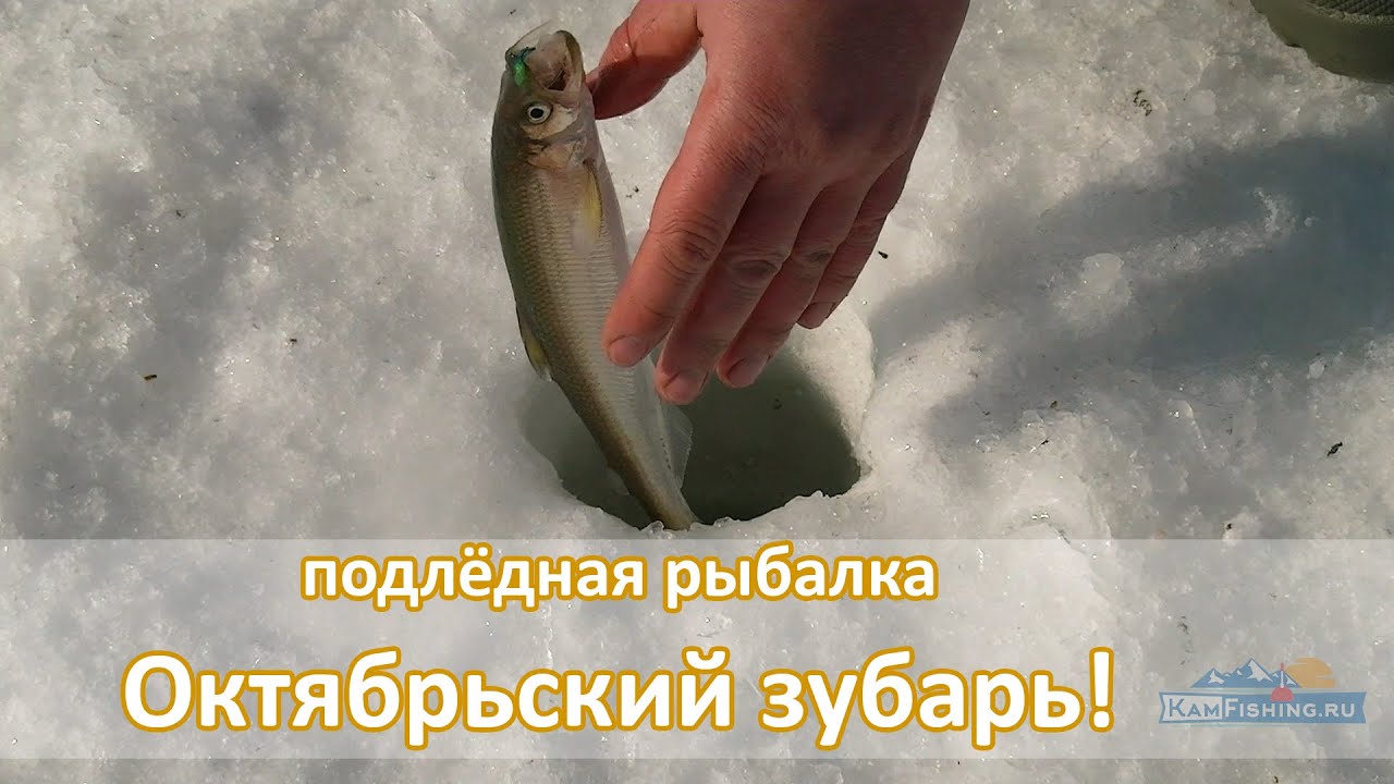 Рыбалка на КОРЮШКУ на Камчатке. Отличный улов и отличная подлёдная рыбалка в посёлке Октябрьский