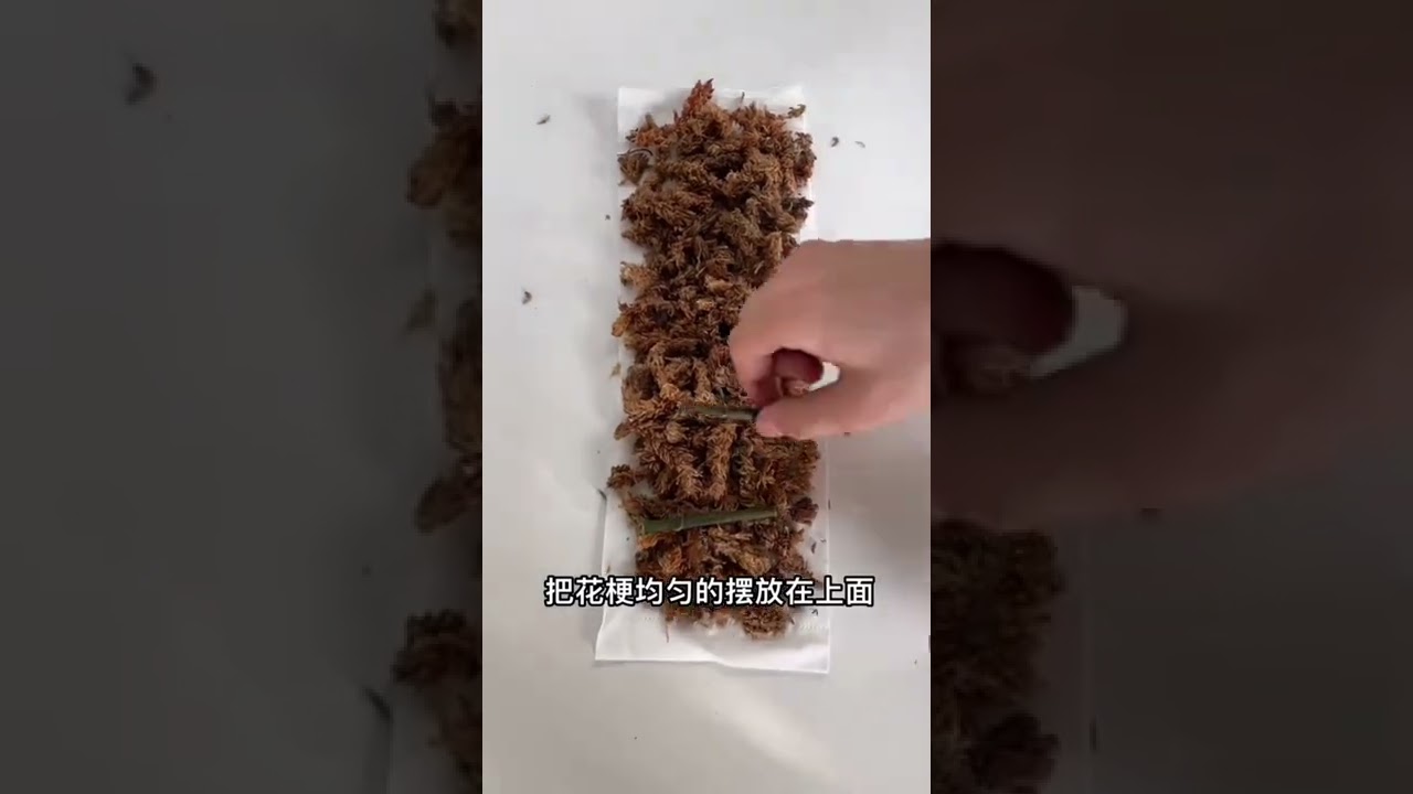 How amazing to grow orchids plant fast and easy #2090
