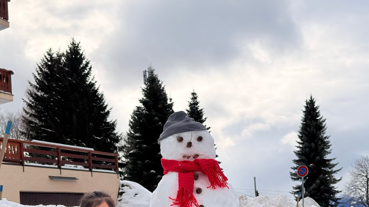 دوستان عزیز خوش امدید🇨🇭🇨🇭🇨🇭❄️❄️❄️❤️❤️❤️💪💪💪💪
