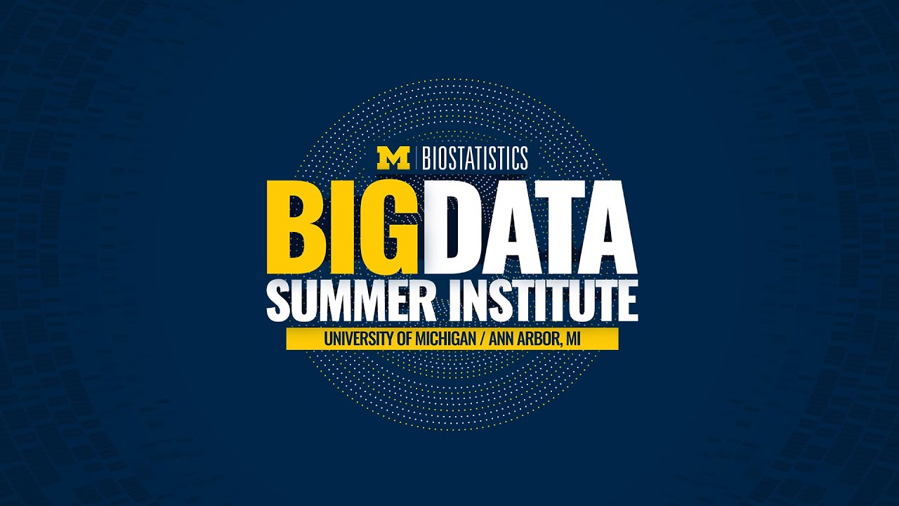 In Their Own Words: Students' Experiences at the 2024 Big Data Summer Institute (BDSI)