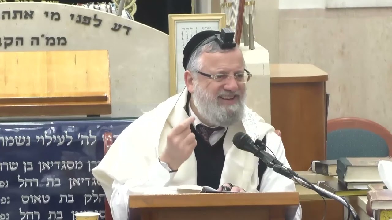 הרב דוד שטרית • אור החיים הקדוש פרשת ויקהל • יזדים