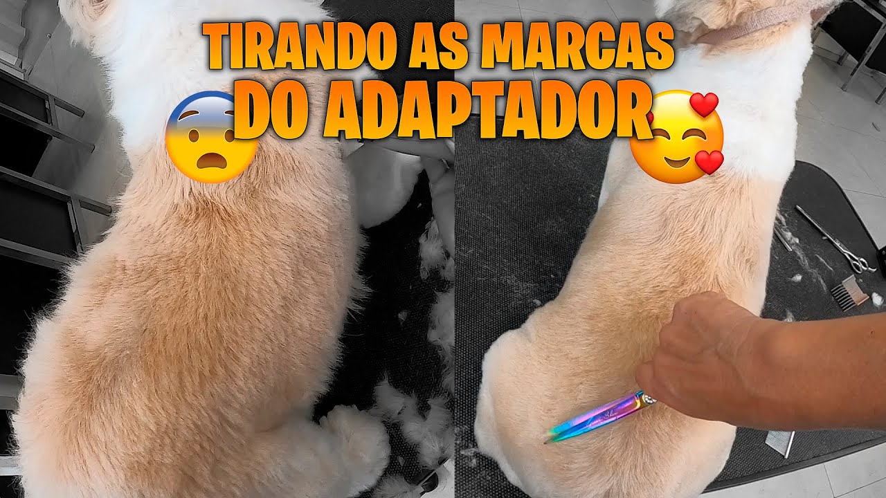 TOSA BEBÊ SEM MISTÉRIOS! | ADRIANA SKOLIMOSKI