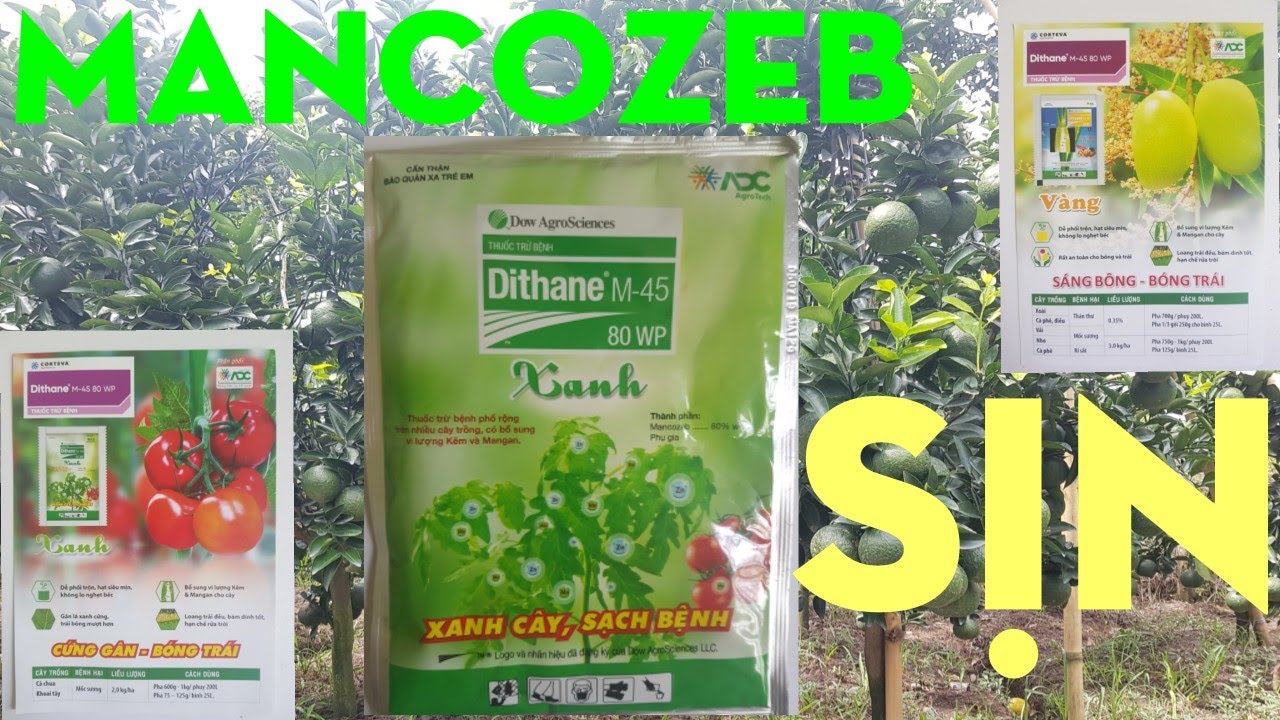 # 18 ll MANCOZEB SỊN/DITHANE M45-80WP