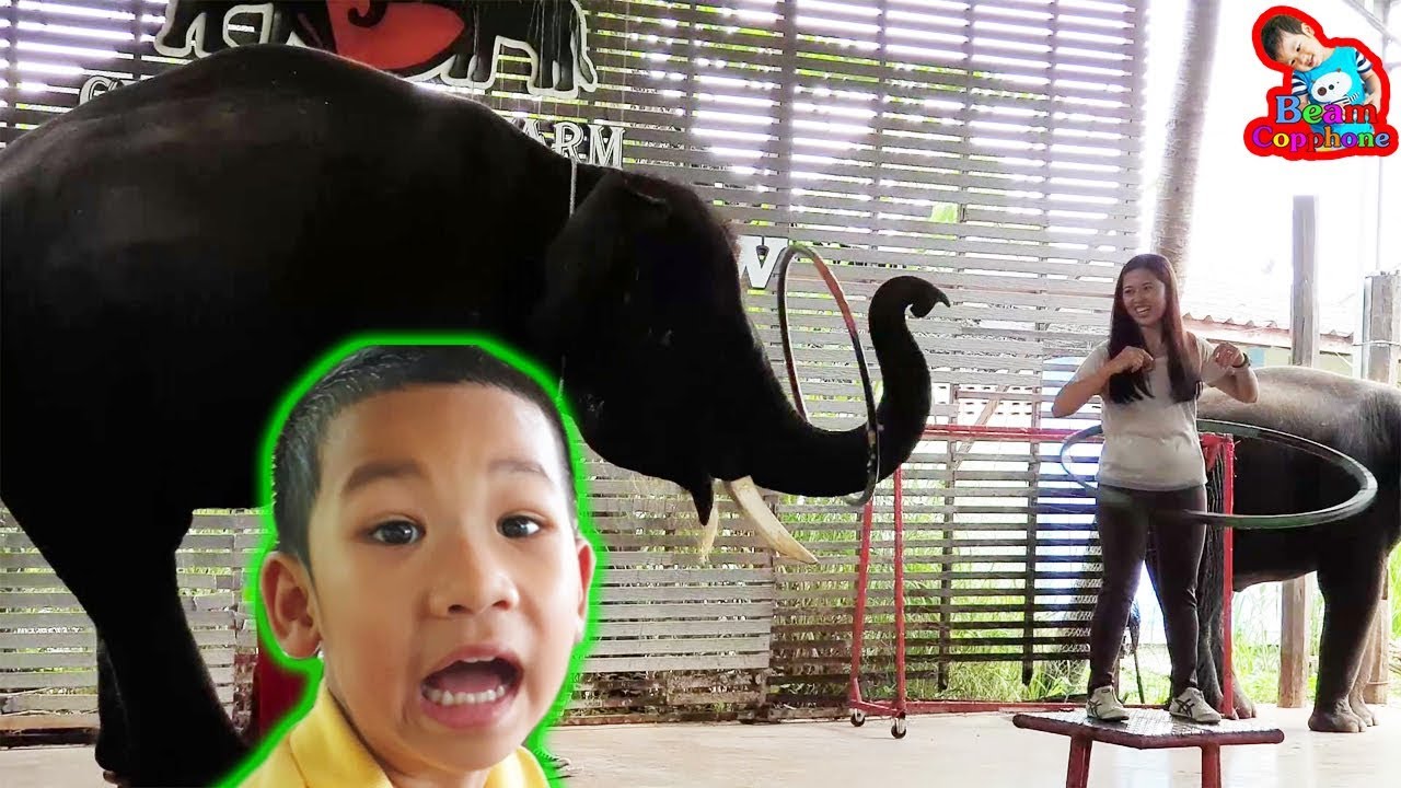 น้องบีม | แม่บีเล่นฮูลาฮูปแข่งกับช้าง เที่ยวราชบุรี ช้างเผือกฟาร์ม ดำเนินสะดวก
