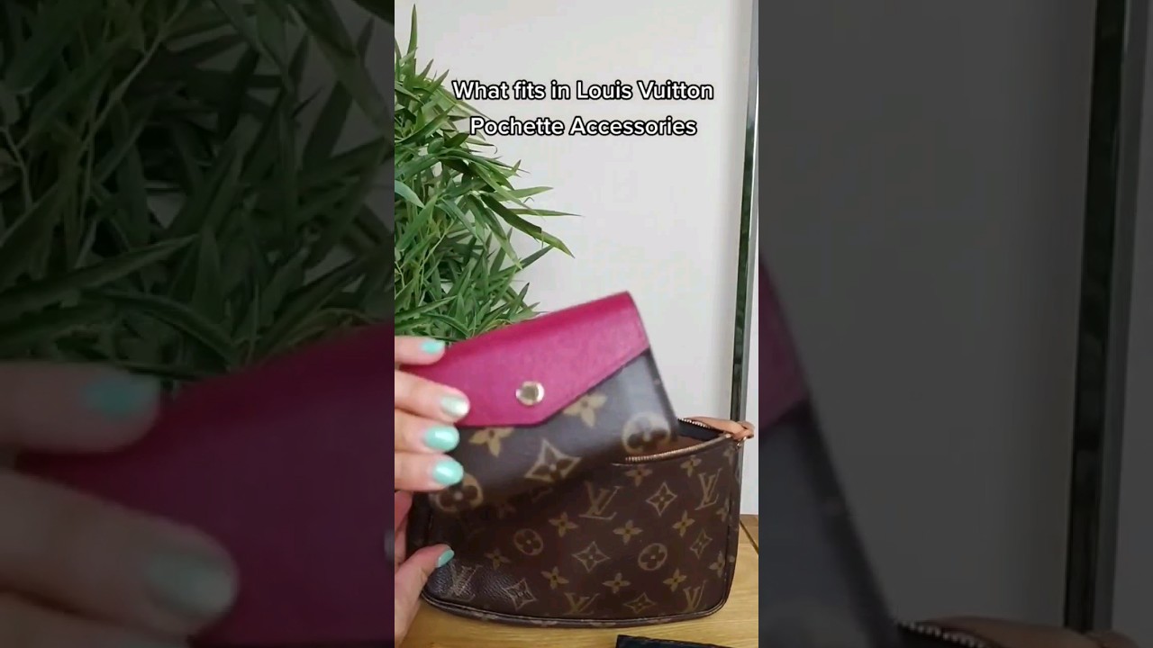 How much can you fit in your Louis Vuitton Pochette Accessories #louisvuitton  #designerbags