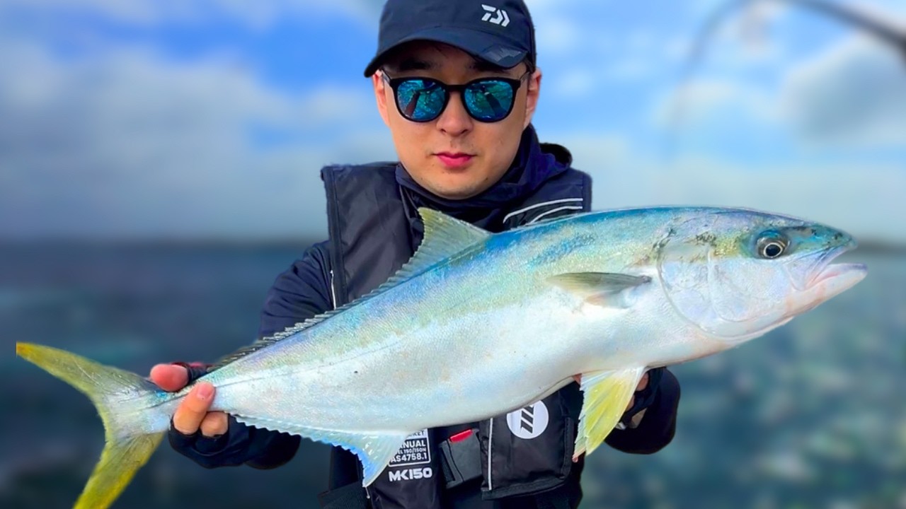 EPIC KINGFISH FRENZY | Sydney Rock Fishing