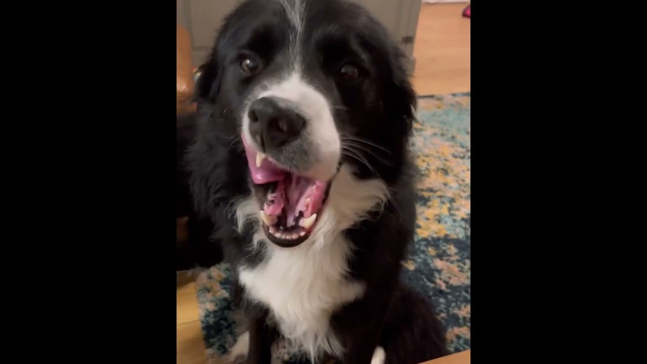Walk Blackmail