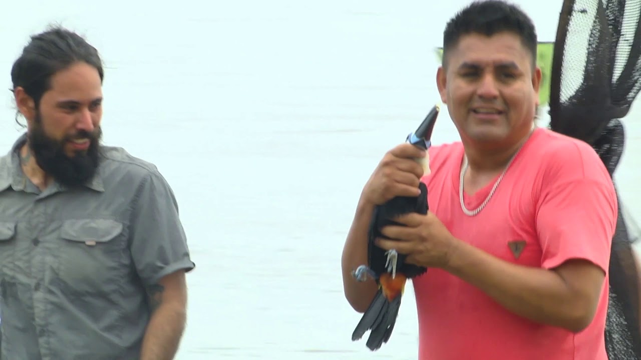 OPERATIVO RESCATE ANIMALES SILVESTRES