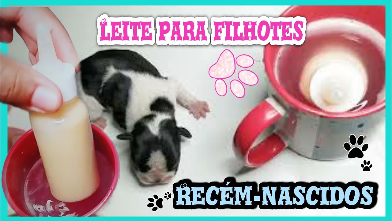 Leite para cachorrinhos recém-nascidos
