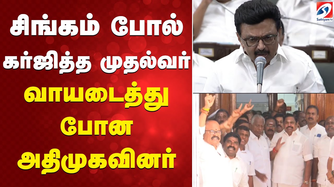 சிங்கம் போல் கர்ஜித்த முதல்வர் - வாயடைத்து போன அதிமுகவினர்