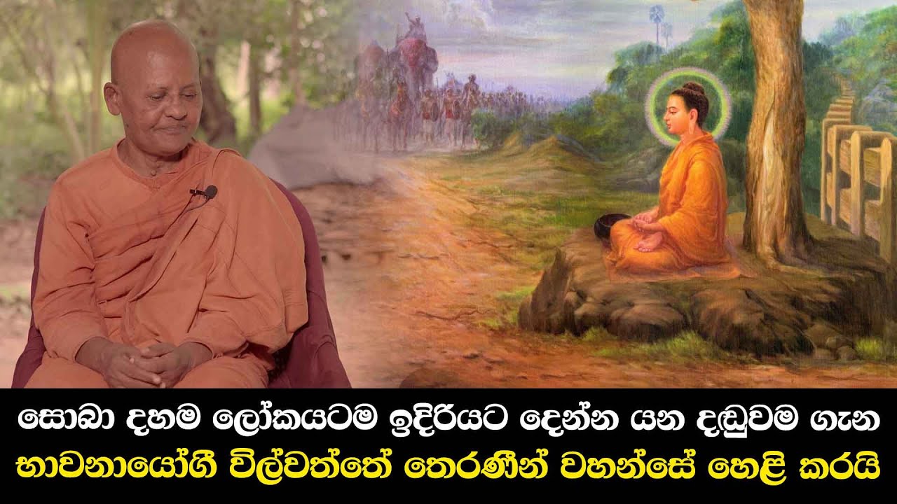 සොබා දහම ලෝකයටම ඉදිරියට දෙන්න යන දඬුවම ගැන, භාවනායෝගී විල්වත්තේ තෙරණීන් වහන්සේ හෙළි කරයි