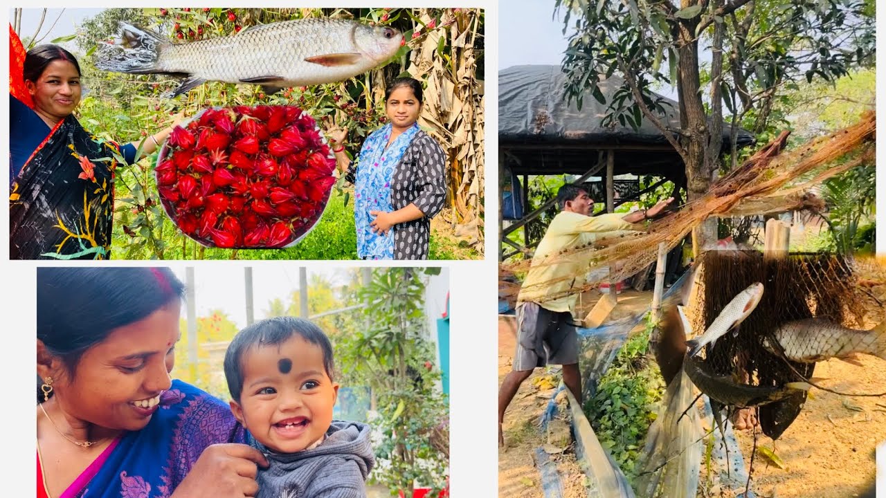 ১ লাখ টাকা জমানোর জন্য কি কিনলাম।আর ছোট্ট একটা রেসিপি