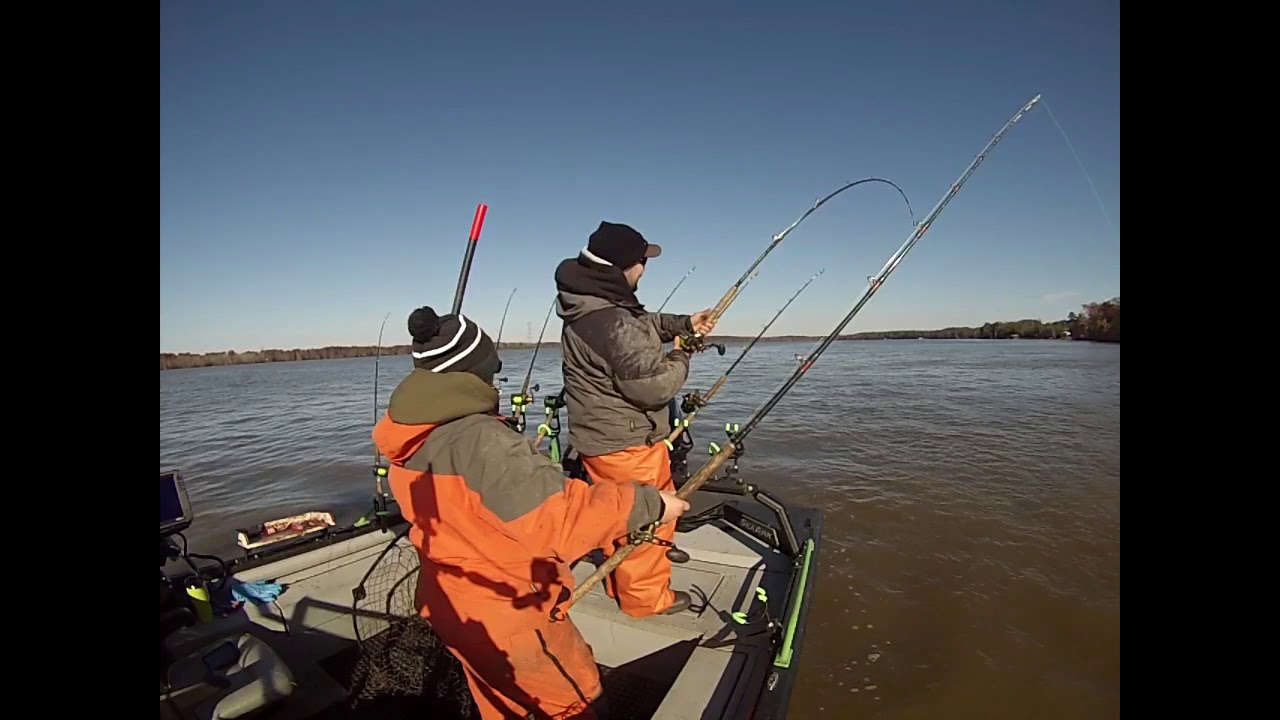 A day catfishing the james river!