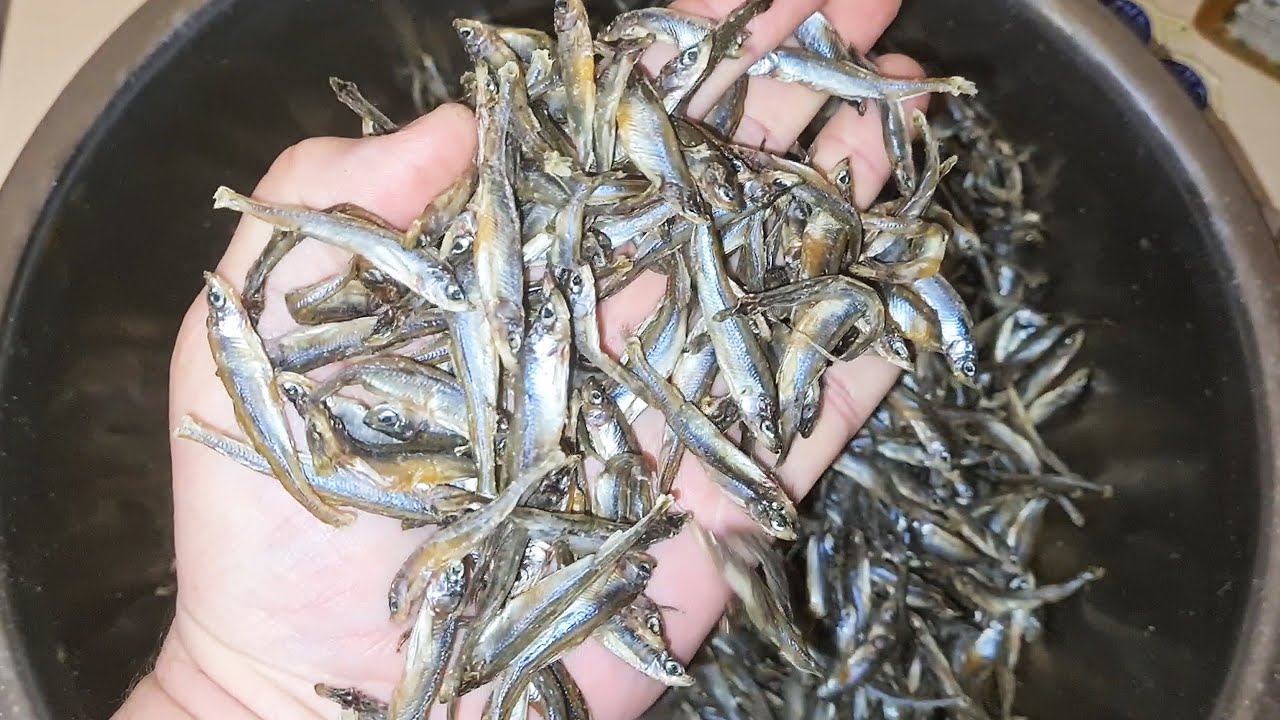 Вяленая рыба корюшка ХАМСА как АНЧОУС! Рецепт вяленой рыбы.