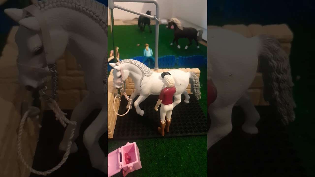 paard op zadelen