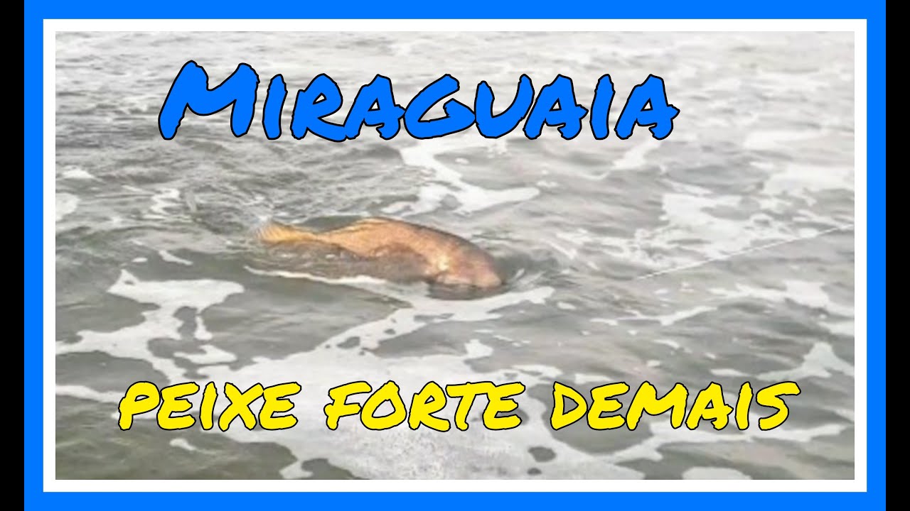 Emoção!! Tremedeira!! Pescaria de Miraguaia gigante da beira da praia. Isso sim é pescaria de praia!