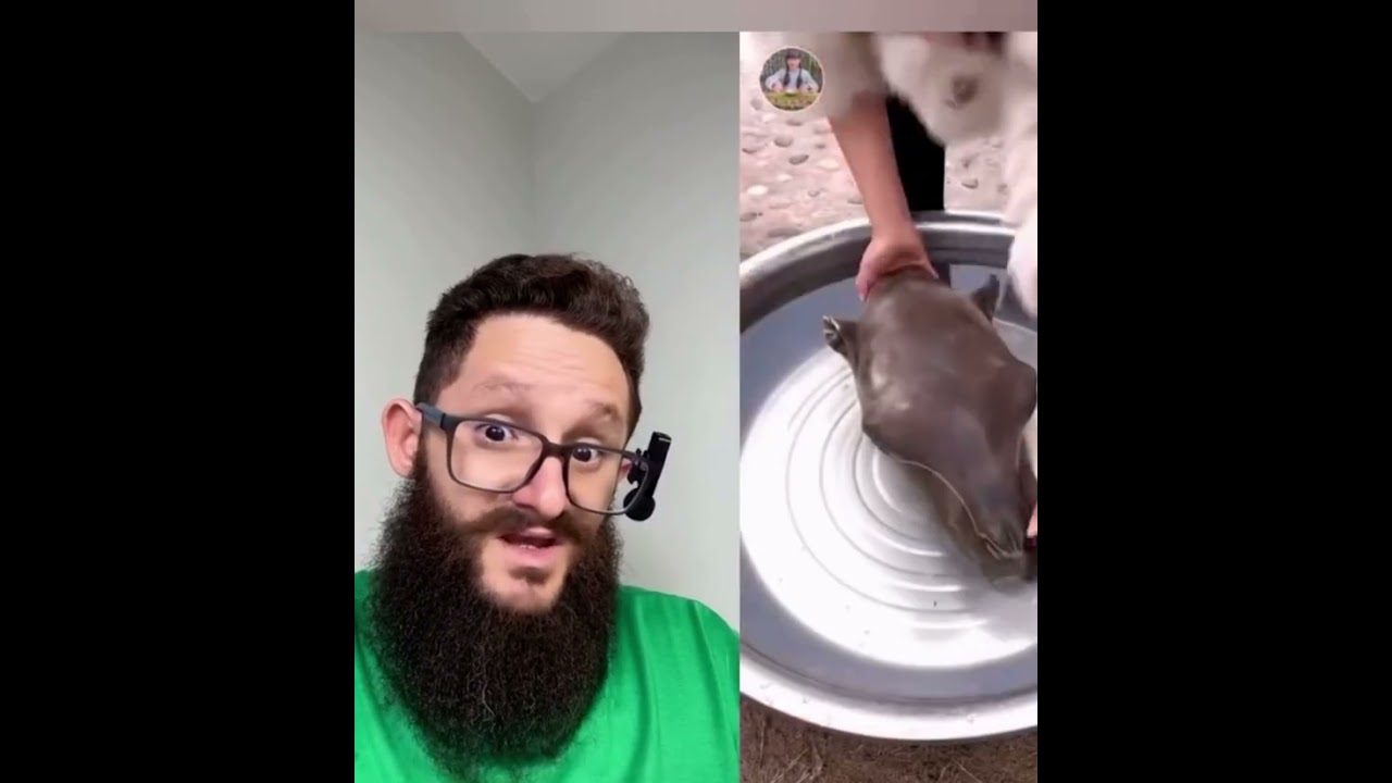 O MARANHENSE EDELSON RIBEIRO REAGINDO A MAIS UM VIDEO !