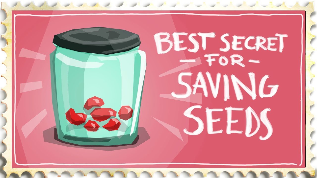 How to Save Seeds - The Best Secret Ever!