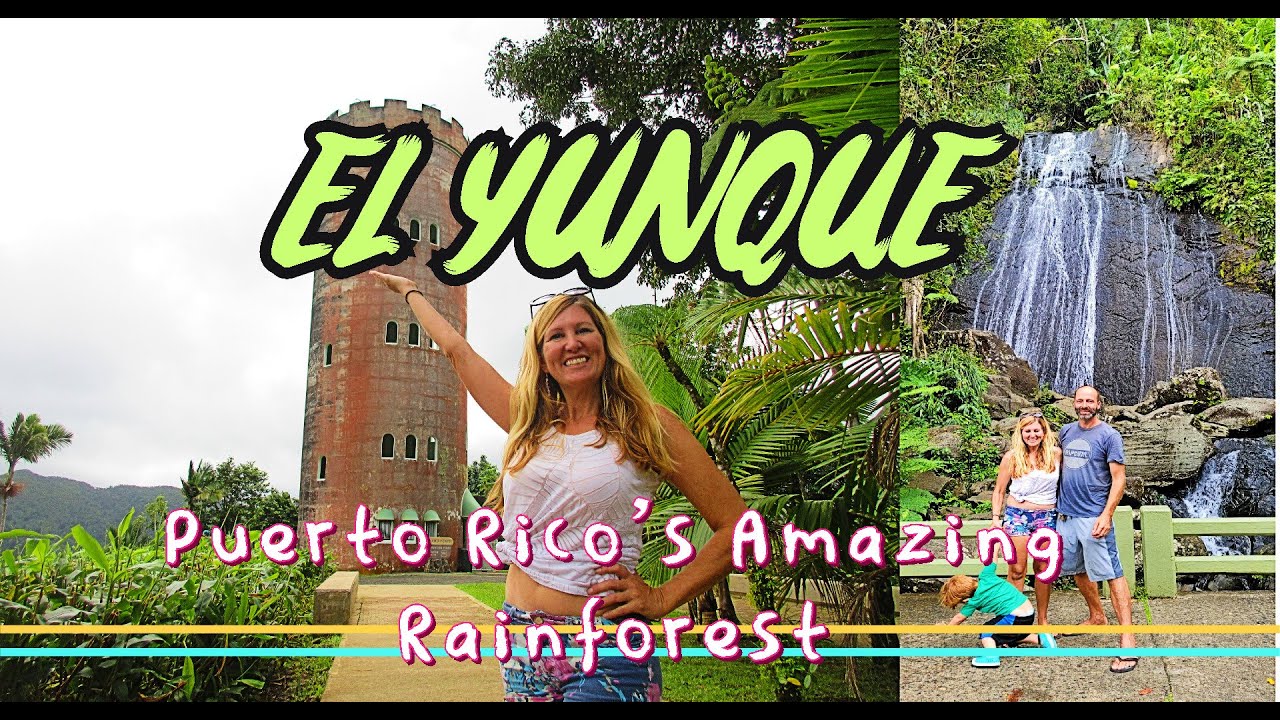 Unbelievably Breathtaking! El Yunque Rainforest of Puerto Rico. A Must-See!